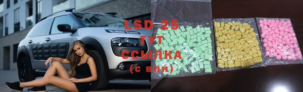 шишки Богородск