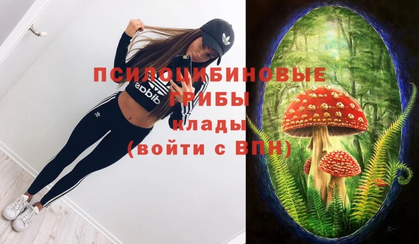 экстази Богданович