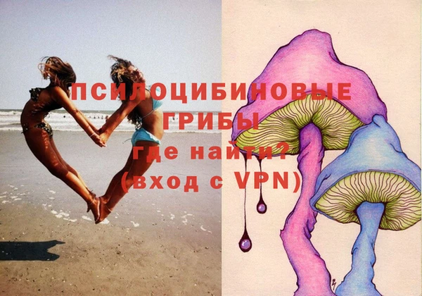 стафф Бронницы