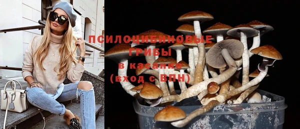 стафф Бронницы