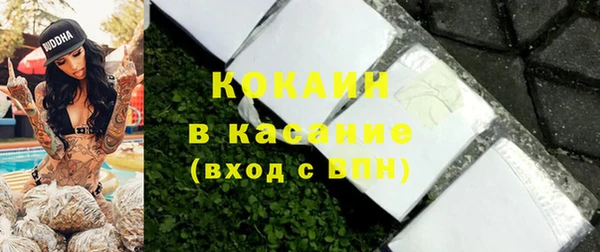 шишки Богородск