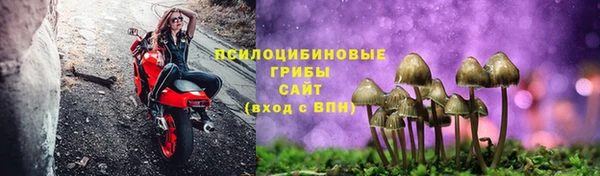 стафф Бронницы
